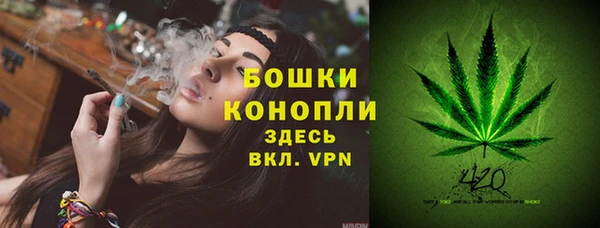 mix Вяземский