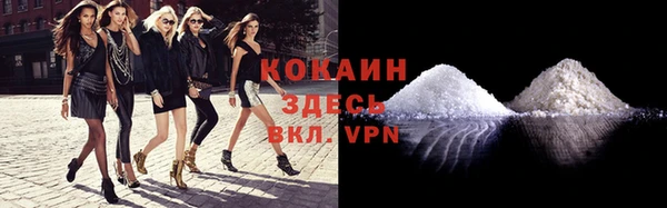молекула духа Вязьма