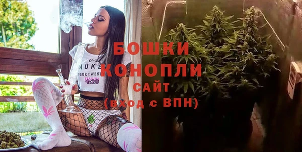молекула духа Вязьма