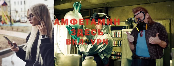 молекула духа Вязьма