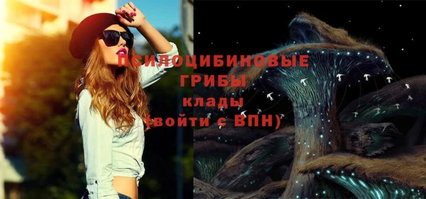 молекула духа Вязьма